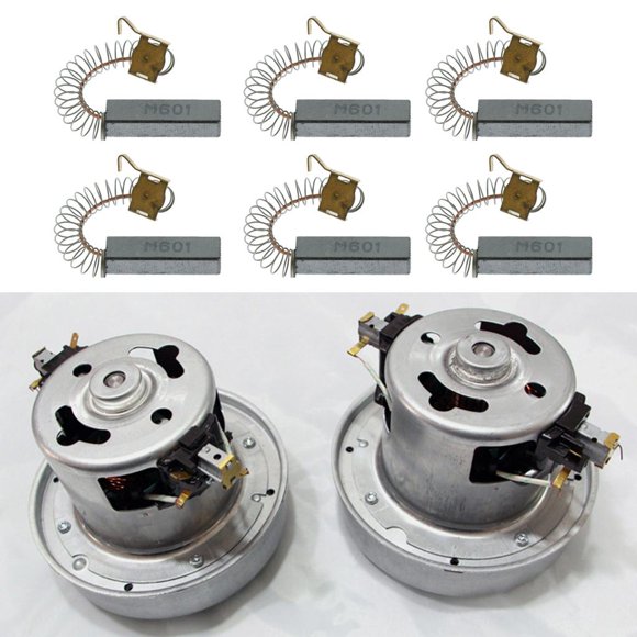 Reemplazo de Las Piezas Del Cepillo de Motor Del Perro Fernando Escobilla de carbón para secador de pelo 6 Piezas