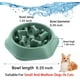 thumbnail image 2 of Comedero para perros de alimentación lenta, antiglución, alimentación saludable, interactivo, Bloa, 2 of 5