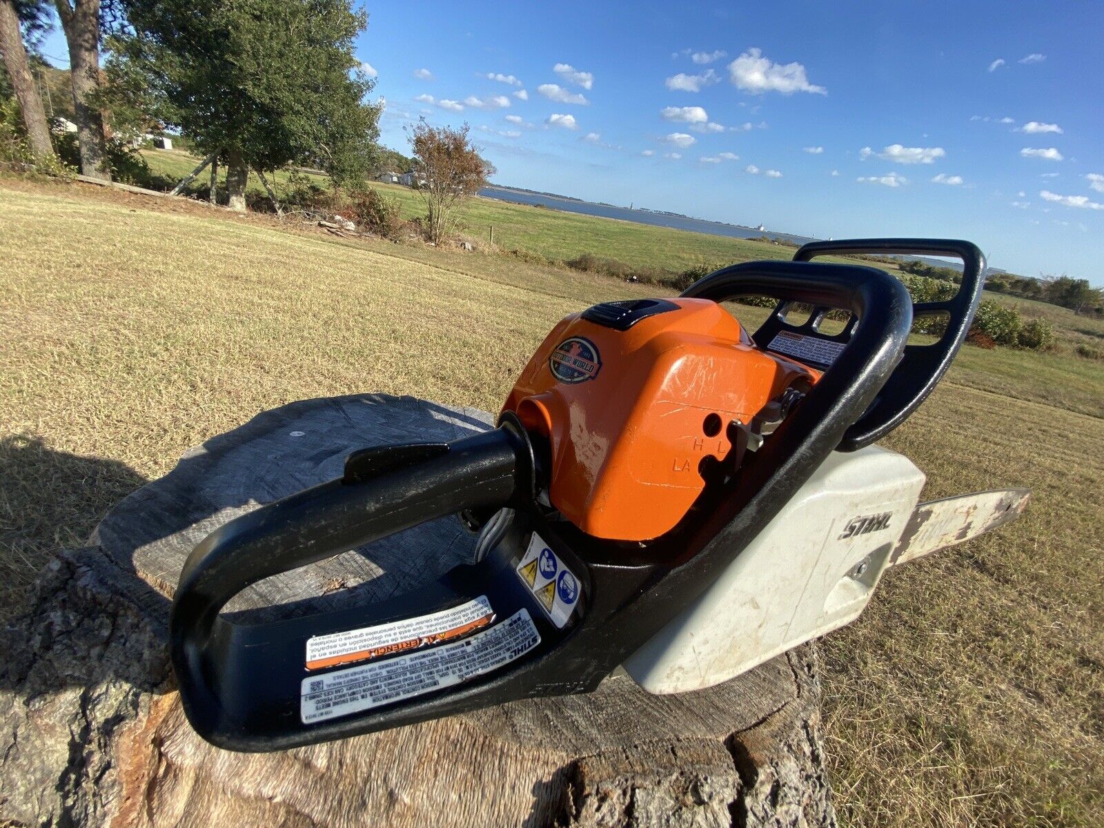 STIHL MS171 Chainsaw 16-inch Gas Powered Professional Mini BOSS - Lightweight Homeowner Chainsaw