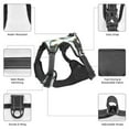 thumbnail image 3 of Naloa Afternoon Tea Pet Harness Vest with Traction Rope, Adjustable No-Choke Dog Vest for Outdoor, Walking - X-Large, 3 of 4