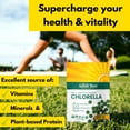 Organic Raw NonGMO Chlorella Tablets, 1000 Count Green Superfood