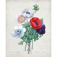 thumbnail image 3 of Redoute, Pierre 12x14 Black Modern Framed Museum Art Print Titled - Redoute Bouquet II, 3 of 5