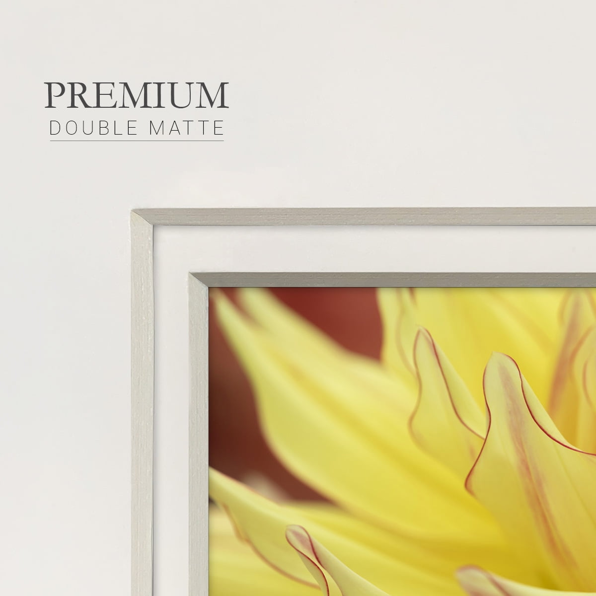 Blooms I-Premium Framed Print
