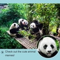thumbnail image 2 of Toys Binoculars For Animal Watching 1PC 8×21 Zoom High-Resolution HD ABS Shockproof Mini Portable Children‘s Products, 2 of 20