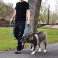thumbnail image 3 of Pet Gear Dog Leash 1.5m Long Padded Two Handle Heavy Duty Double Handles Lead for Control Safety Training Leashes Blue, 3 of 8