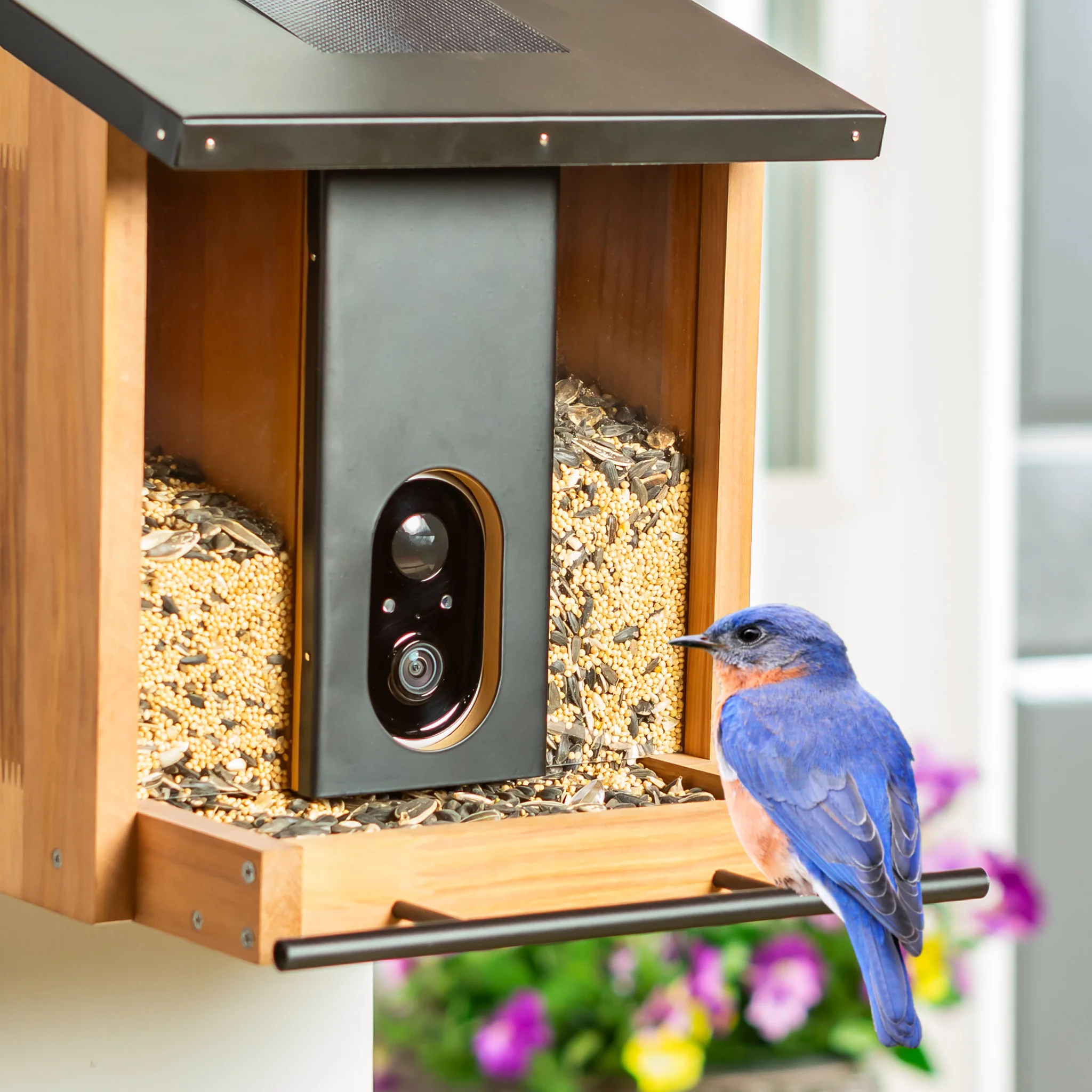 Evergreen Smart Camera Bird Feeder with Solar Panel