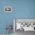 thumbnail image 3 of Common Eider, Framed Art Print Wall Art by abzerit Sold by Art.Com, 3 of 5