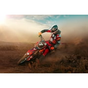 Autolite Power Sport Spark Plug, 4194, for Honda, Kawasaki, Yamaha and Polaris Motorcycles and ATVs