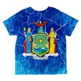thumbnail image 2 of New York Vintage Distressed State Flag All Over Toddler T Shirt Multi 2T, 2 of 2