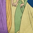 thumbnail image 4 of Disney Princess Silk Touch Fleece Throw, 4 of 6