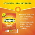 thumbnail image 3 of Campho Phenique Cold Sore and Fever Blister Treatment for Lips, Maximum Strength Provides Instant Relief, Original Gel Formula, 0.23 oz., 3 of 7