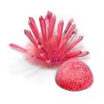 thumbnail image 1 of Crystal Growing Kit Vapeur Chimique Science Expérience Éducative Projets DIY Kits Laboratoire Expérience (Rouge), 1 of 8