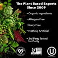 Complete Vegan Protein Powder Plant Based Protein Powder With BCAAs