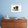 thumbnail image 4 of Fawn Pug and 8 Week Puppy, Animals Framed Art Print Wall Art by Mark Taylor Sold by Art.Com, 4 of 5