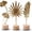 Style 3, variant on Homaryx Gold Metal Leaf Sculpture Set, 3D Botanical Table Decor for Living Room Office Shelf, Monstera Feather Ginkgo, 3-Piece