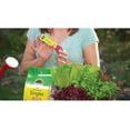 thumbnail image 2 of Watering Can Singles All Purpose Water Soluble Plant Food - Fertilizer for Flowers, Vegetables, Houseplants, Trees, Indoor and Outdoor Plants, 24 Packets, 2 of 5