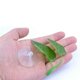 thumbnail image 3 of Betta Fish Hammock Plastic Betta Leaf Pad Toy Aquarium Plants Accessories for Playing Hideout and Fish for Tank Decorati, 3 of 4