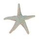 thumbnail image 2 of Realistic Sea Animals Solid Simulation Figurines ABS Figures Models Collection Educational Toys For Children, 2 of 5