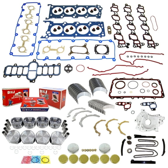 DNJ EK4170AM Master Engine Rebuild Kit Fits Cars & Trucks 1999-2001 Ford E-150 Econoline E-250 Econoline E-350 Econoline Expedition F-150 F-250 F-250 Super Duty F-350 Super Duty 5.4L SOHC 16V VIN L
