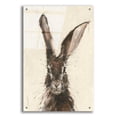 thumbnail image 1 of Epic Art 'European Hare II' by Ethan Harper, Acrylic Glass Wall Art, 24"x36", 1 of 8