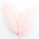 thumbnail image 1 of Plumas de avestruz grandes de 30-35 cm para jarrones, arreglos florales, centros de mesa para bodas y decoración del hogar (A), 1 of 6