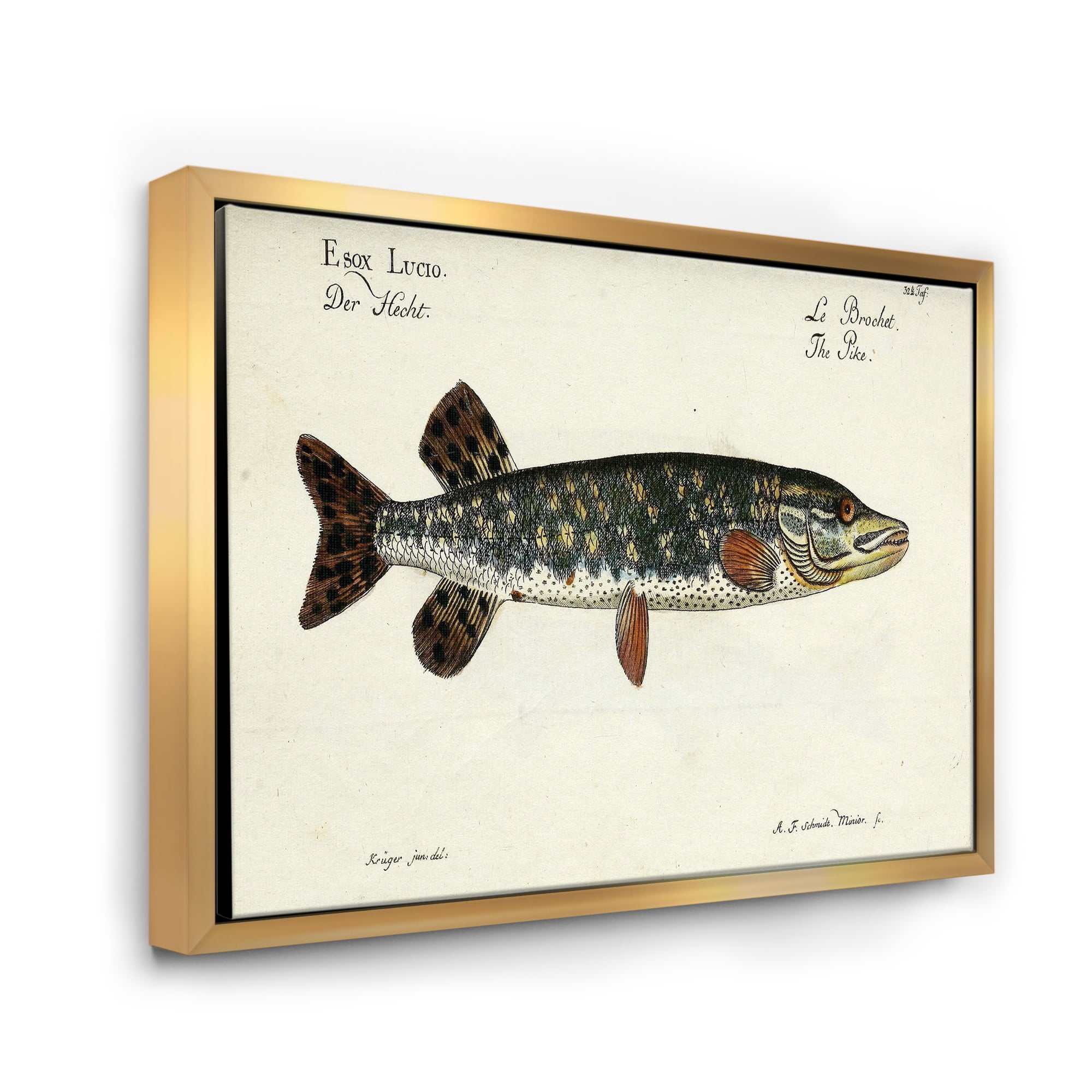 Portrait Of A Green Fish On Beige 40 in x 30 in Framed Painting Canvas Art Print, by Designart