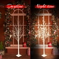 LED Lighted Tree Lamp, 3 Pieces Prelit Birch Tree-4ft 5ft 6ft, Inside ...