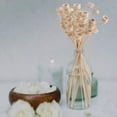 thumbnail image 3 of GOOHOCHY 20 varillas difusoras de aroma para aceites esenciales., 3 of 8