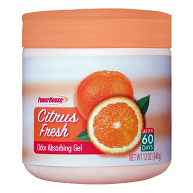 Personal Care 925656 Citrus Fresh Odor Absorbing Gel 12 oz., Pack of