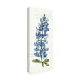 thumbnail image 3 of Trademark Fine Art Anne Tavoletti Texas Bluebonnet Iii Canvas Wall Art - 14x32, 3 of 5
