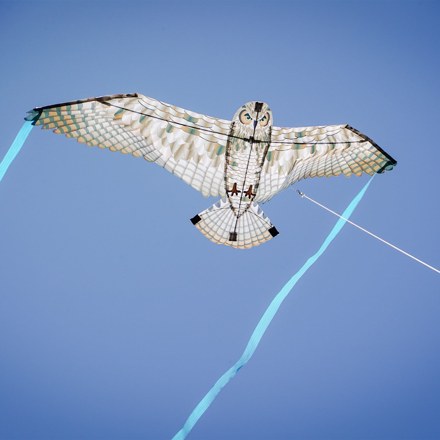 In the Breeze 3518 — 40-inch Owl Bitty Bird Kite — Bold, Small, Fully Printed Bird of Prey Kite for All Skill Levels