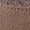 Brown, variant on Wdhugt Women'S Beige Pu Lace Up Loafers Casual Flat Soft Sole Round Toe Front Tie Shoes Size Eu 36 Us 5.5