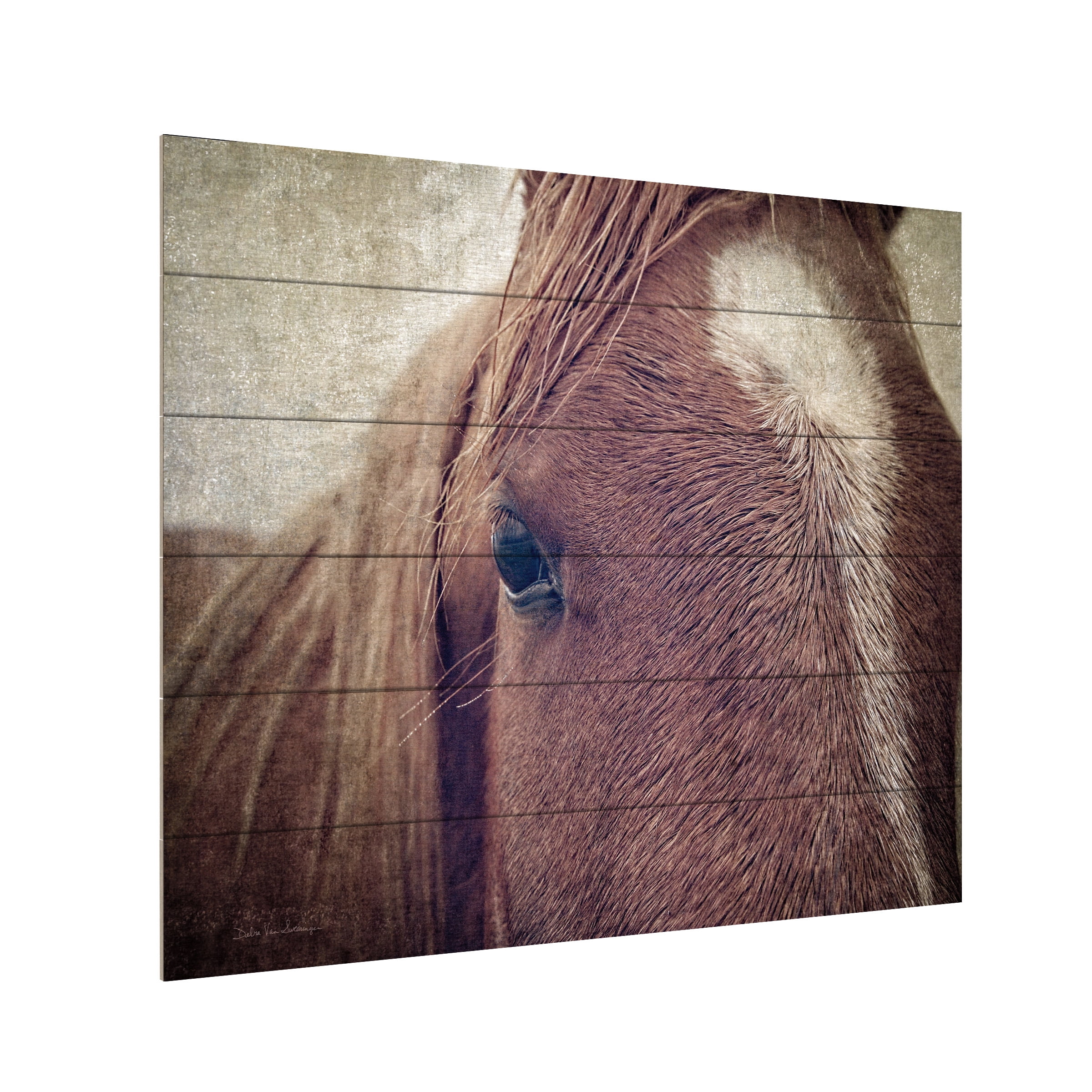 Debra Van Swearingen 'Dew Lashes' Wood Slat Art 18x22