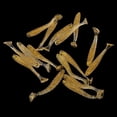 thumbnail image 3 of Cebos de Plástico Suave DYNWAVEMX Señuelos Artificiales de Minnow de Oro Dorado, 3 of 8