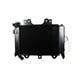 thumbnail image 1 of Radiador Completo Bajaj Pulsar Ns 200 (12-24), 1 of 4