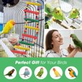 thumbnail image 4 of MQ 10 Packs Bird Swing Chewing Toys- Parrot Hammock Bell Toys Parrot Cage Toy Bird Perch with Wood Beads Hanging for Small Parakeets, Cockatiels, Conures, Finches,Budgie,Parrots, Love Birds, 4 of 7