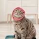 thumbnail image 5 of Orejeras para perros, elegantes, cálidas y cómodas, con protección contra el ruido y alivio de la ansiedad, para perros pequeños, medianos, gatos y mascotas S, 5 of 13