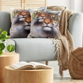 thumbnail image 5 of Ambesonne Mandala Throw Pillow Cover 2 Pack, Wildlife Savannah Animals, 18", Multicolor, 5 of 5