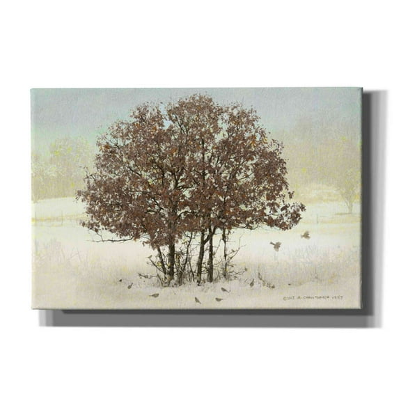 Epic Graffiti 'Juncos and Oak' by Chris Vest, Canvas Wall Art, 26"x18"