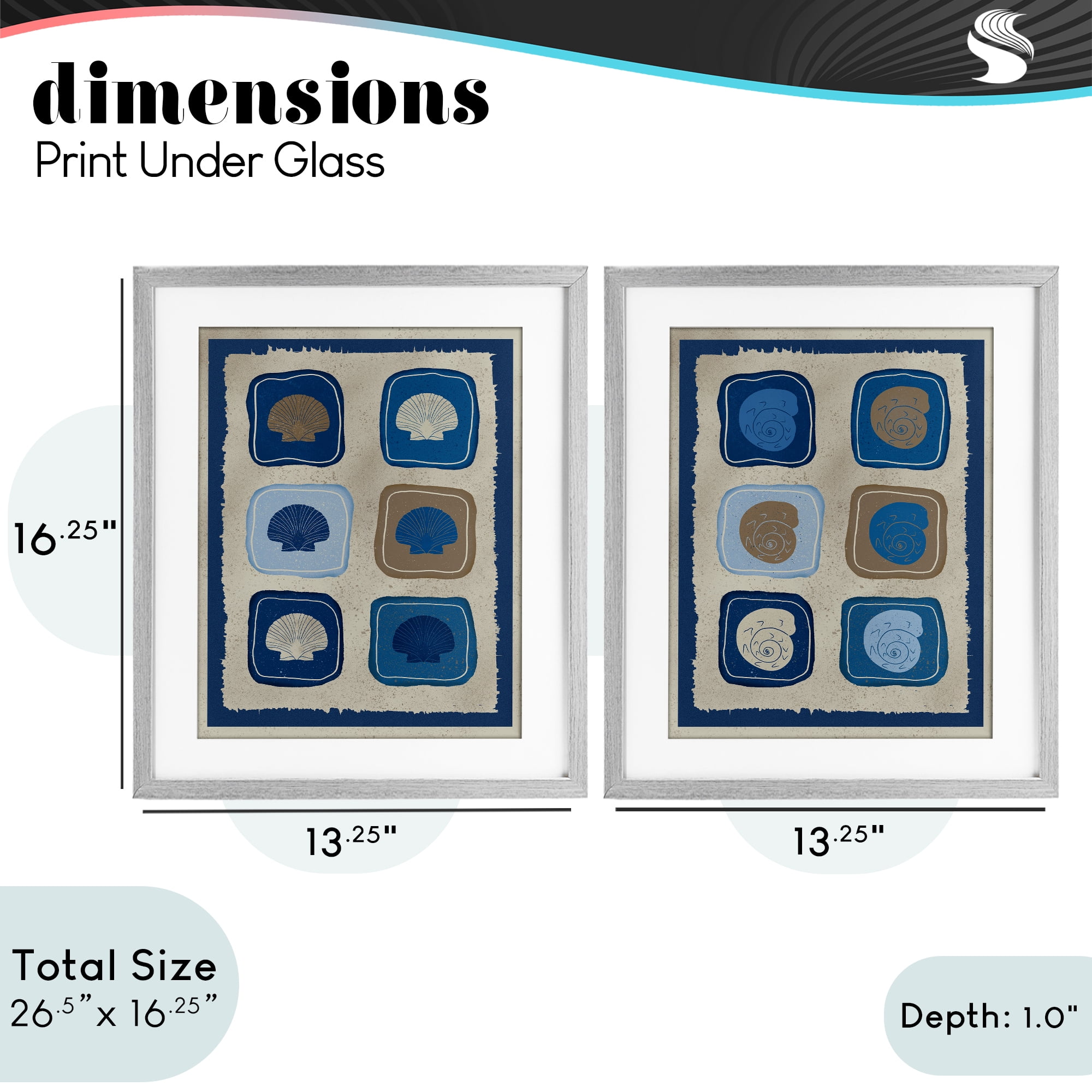 Stupell Industries Blue Blocked Seashells 2 Piece Gray Framed Print Under Glass Set, design by Julia Frost