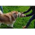 thumbnail image 2 of Almohada 3 , Gran Juguete de para Perros Adultos Jóvenes Sunnimix Almohada de entrenamiento para perros, 2 of 8