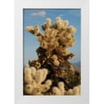 thumbnail image 3 of Erin Berzel 4x24 White Modern Wood Framed Wall Art Titled - Cholla Cactus II, 3 of 5