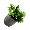 thumbnail image 2 of Naiovety Árbol artificial respetuoso del medio ambiente verde del dinero en plástico realista interior/al aire libre del aspecto del pote Decoración nuevo aliento de bebé blanco, 2 of 6
