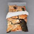 thumbnail image 2 of Ambesonne Landscape Bedding Set 3 Pcs, Old Tree Botany Wood, Twin XL, Orange Brown, 2 of 3