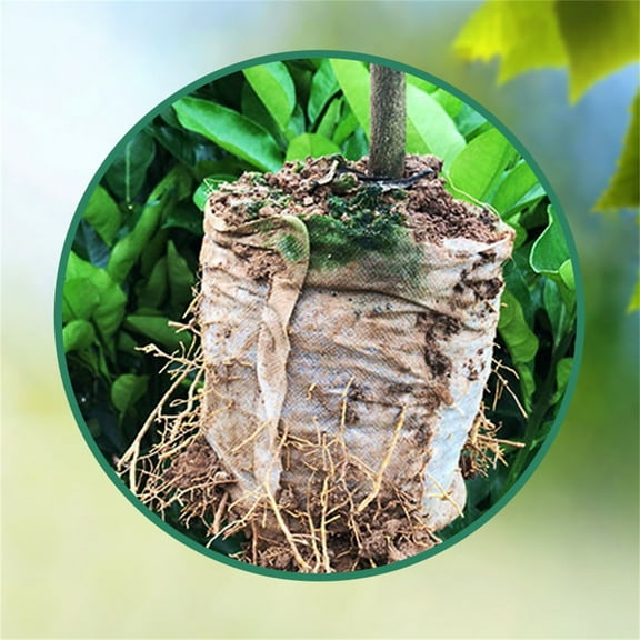 100Pcs Plant Grow Bags, Plant Nursery Bags, Fabric Pots Non-Woven Pouch for Potato, Tomato Plant Tree Starts, Fruit Flower Protection Bags, Home Garden Supply