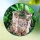 thumbnail image 4 of 100 macetas de tela, bolsas de cultivo, biodegradables, bolsa para plantas de vivero, fondo plano, 4 of 9