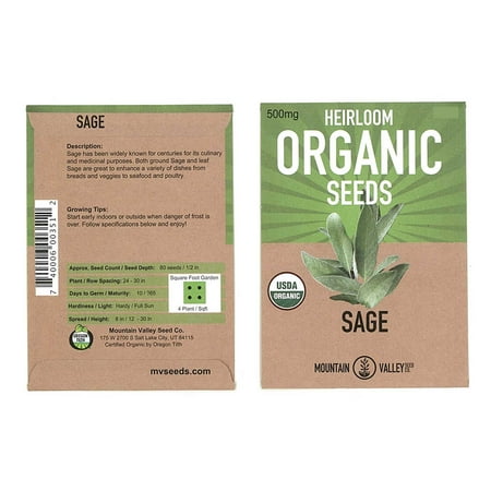 Organic Sage Seeds - 500 mg Packet - Non-GMO Herb Garden Seeds - Culinary Sage for Cooking - Perennial (Best Price Garden Seeds)