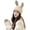 Beige, variant on CoCopeaunts Knit Beanie Hats for Women Bunny Hat Warm Knit Rabbit Ear Crochet Skull Cap with Cute Rabbit Bunny Ears