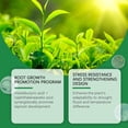 thumbnail image 4 of SXcggal Rooting Powder For – Fast Acting Root Stimulator Promotes Roots & Growth – Ideal For Cuttings And Transplanting Practical Basic Rooting Tool For Garden, 4 of 9