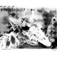 thumbnail image 2 of Bluebird Barn 14x12 Gold Ornate Wood Framed with Double Matting Museum Art Print Titled - Modern Black And White Giraffe, 2 of 4